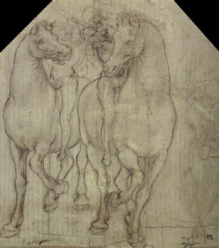 Leonardo  Da Vinci Horses with horsemen Germany oil painting art